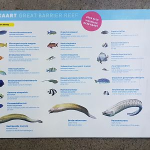 Search-cars Great Barrier Reef Aquarium