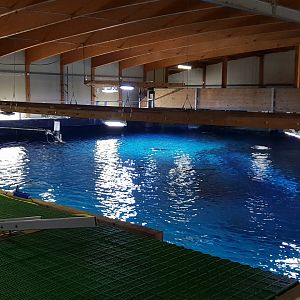 Atlantic tank from above