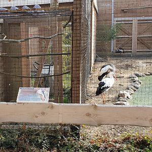 American kestrel and Wader aviaries