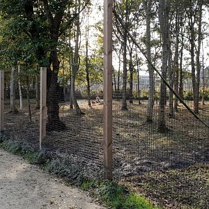 Rhea - Alpaca enclosure