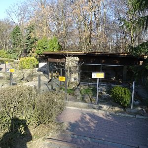 Krakow Zoo 04/2019: Agouti and meerkat enclosures