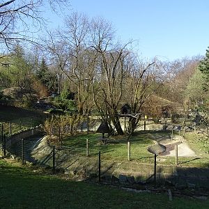 Krakow Zoo 04/2019: Ring-tailed lemur island (empty)