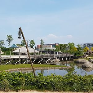 Board-walk along lions and savanna