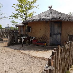 Cattle ( zebu ) enclosure