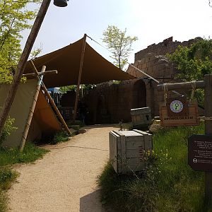 Archeology camp