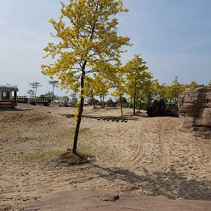 Camel - Onager enclosure