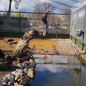 Waterbird aviary