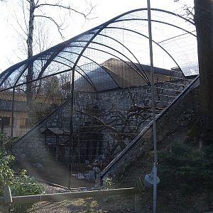 Krakow Zoo 04/2019: Red panda enclosure