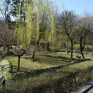 Zoo Krakow 04/2019: Water bird enclosures