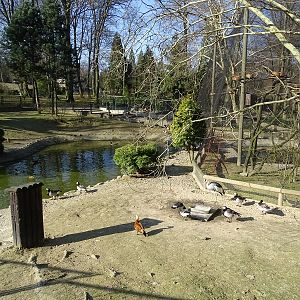 Krakow Zoo 04/2019:  Waterbird enclosure