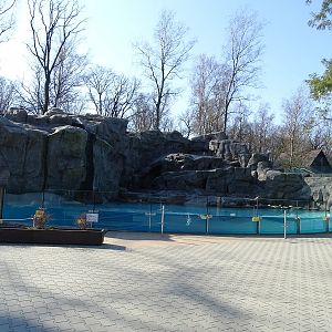 Krakow Zoo 04/2019: Humboldt penguin enclosure