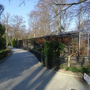 Krakow Zoo 04/2019: Small cats enclosures