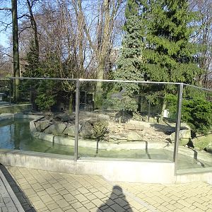 Krakow Zoo 04/2019: Eurasian otter enclosure