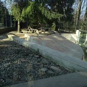 Krakow Zoo 04/2019: Eurasian otter enclosure