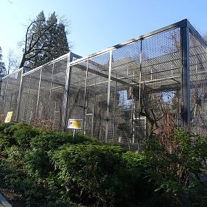 Krakow Zoo 04/2019: Bird of Prey aviaries