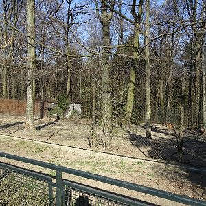 Krakow Zoo 04/2019: Maned wolf enclosure