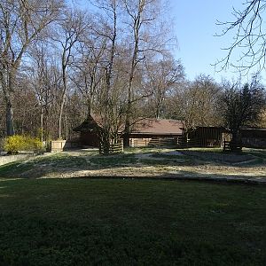 Krakow Zoo 04/2019: Tapir outdoor enclosure