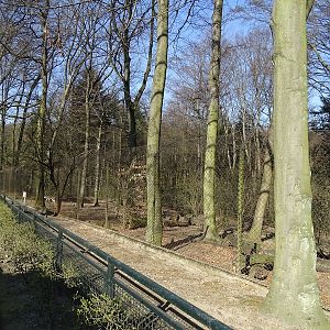 Krakow Zoo 04/2019: Wolf enclosure