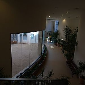 Krakow Zoo 04/2019: Giraffe house