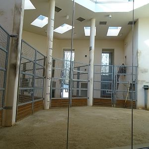 Krakow Zoo 04/2019: Giraffe house