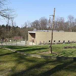Krakow Zoo 04/2019: Giraffe enclosure