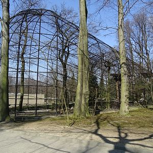 Krakow Zoo 04/2019: Condor enclosure
