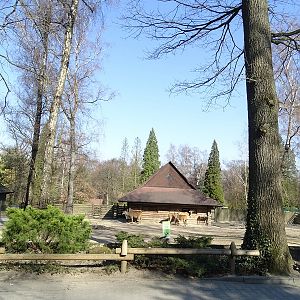 Krakow Zoo 04/2019: Eland enclosure