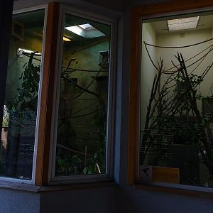 Krakow Zoo 04/2019: Squirrel monkey and lemur indoor enclosure