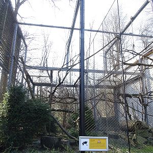 Krakow Zoo 04/2019: Lemur enclosures