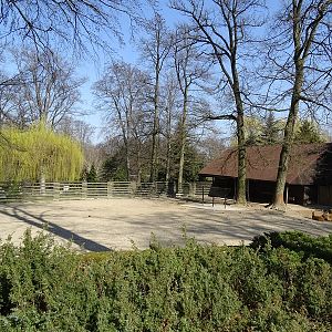 Krakow Zoo 04/2019: Kafue lechwe enclosure