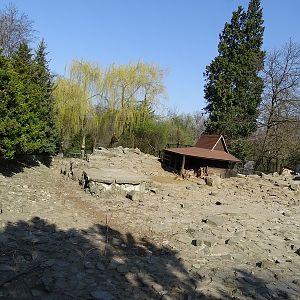 Krakow Zoo 04/2019: Barbary sheep enclosure