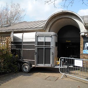 Okapi trailer 30 March 2019