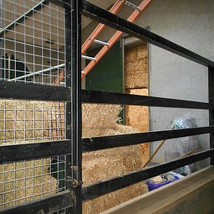 Converted stable, Giraffe House 30 March 2019