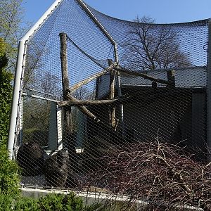 Krakow Zoo 04/2019: Chimpanzees enclosure (Monkey House)