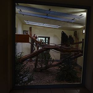 Krakow Zoo 04/2019: Mandrill indoor enclosure (Monkey House)