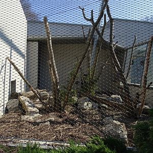 Krakow Zoo 04/2019: Mandrill enclosure (Monkey House)