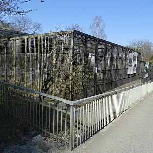 Former big cat enclosures (now empty)