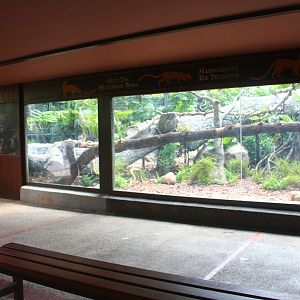 Fossa exhibit