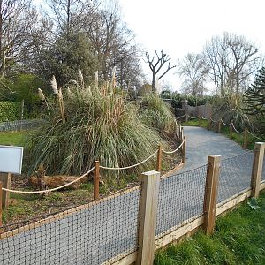 Converted enclosure. 30 March 2019