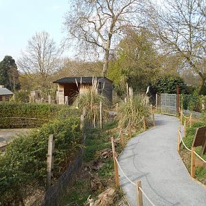 Converted enclosure. 30 March 2019