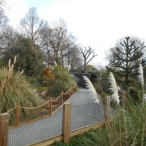 Converted enclosure. 30 March 2019