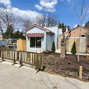 Tasmanian Devil almost ready