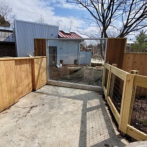 Tasmanian Devil construction side view