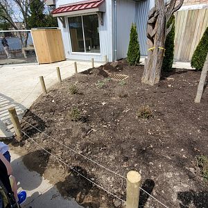 Tasmanian Devil construction front view