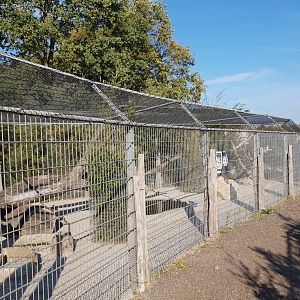 Pademelon - Kookaburra enclosure
