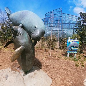 Apr. 2019 - Manatee Springs