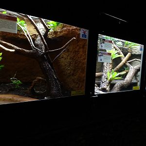 Krakow Zoo 04/2019: Exotarium enclosures