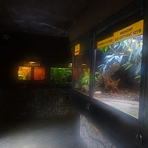 Krakow Zoo 04/2019: Exotarium