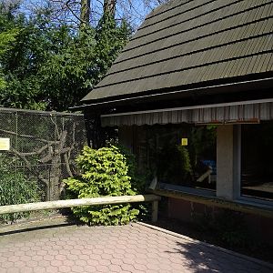 Krakow Zoo 04/2019: Tamarin enclosure