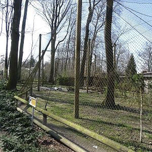Krakow Zoo 04/2019: Red-crowned crane enclosure
